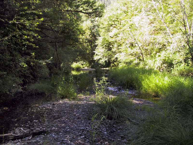 Creek2