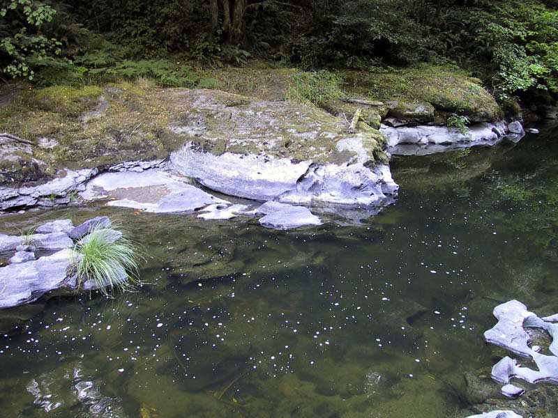 Creek3Rock_edited