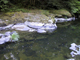 Creek3Rock_edited