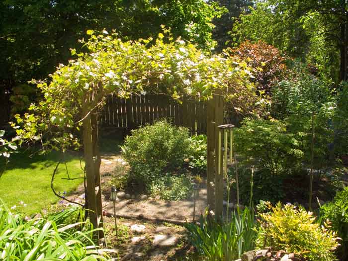 Arbor