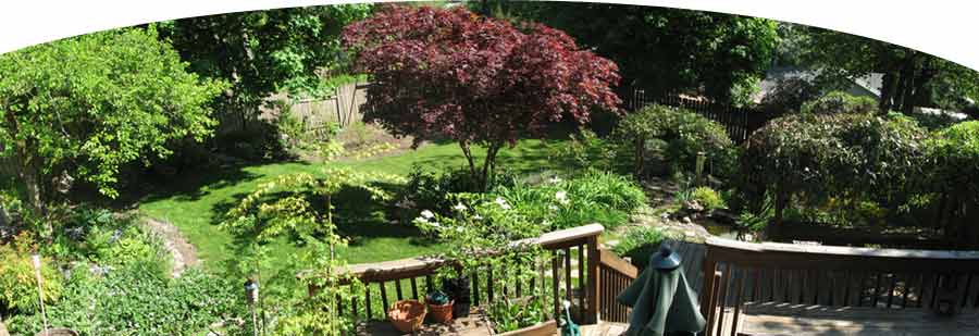 GardenPanoMay3