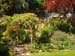 ArborFromSouth