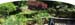 GardenPanoMay3